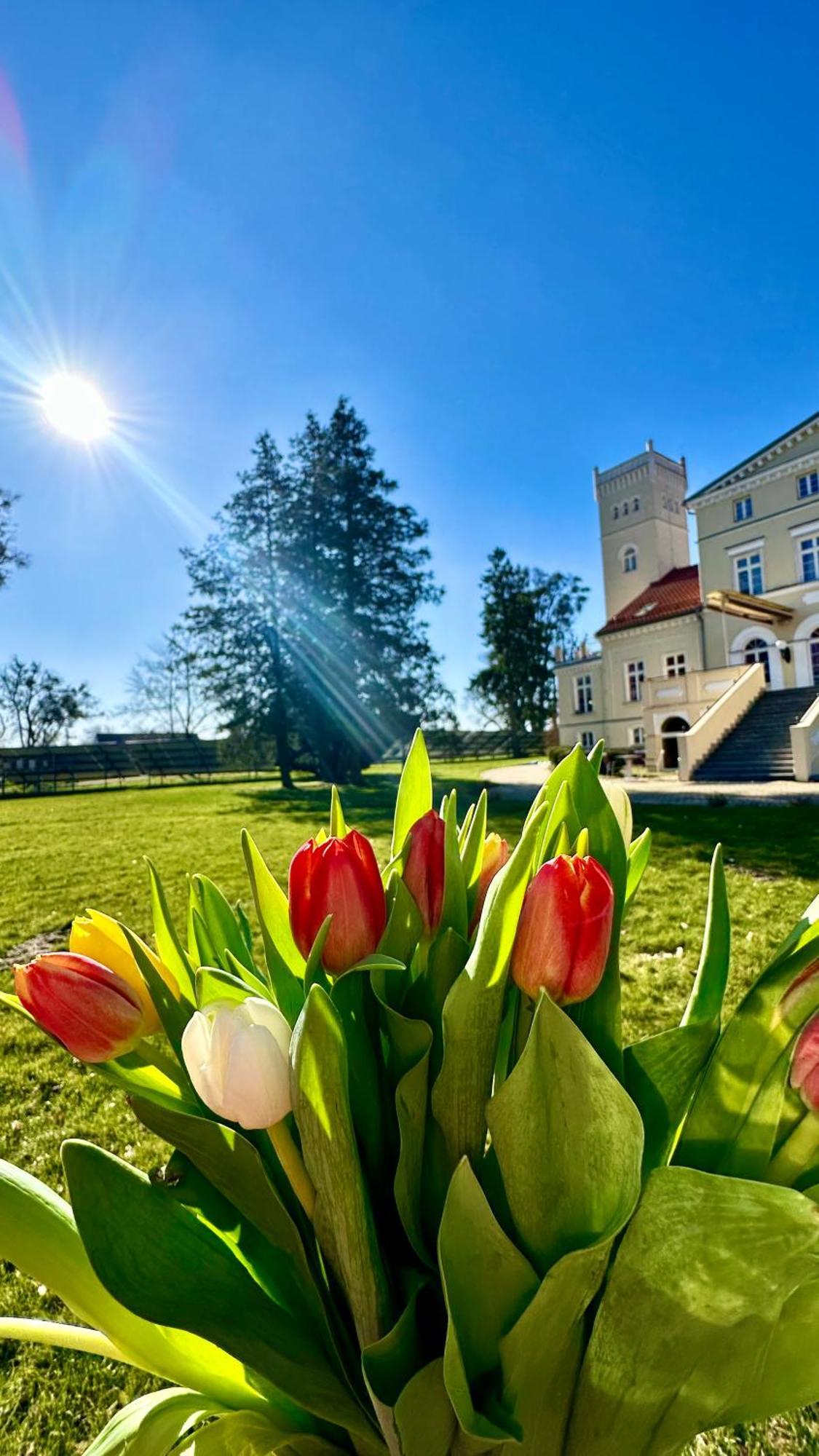 Hotel Spa Wieniawa Rekowo  Esterno foto